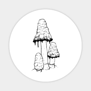 Ink Cap Mushrooms Magnet